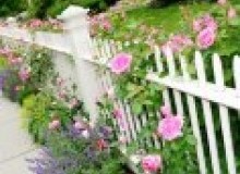 Kwikfynd Garden fencing
voyagerpoint